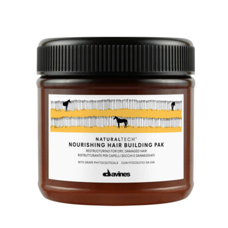 Davines Naturaltech Nourishing Hair Building Pak
